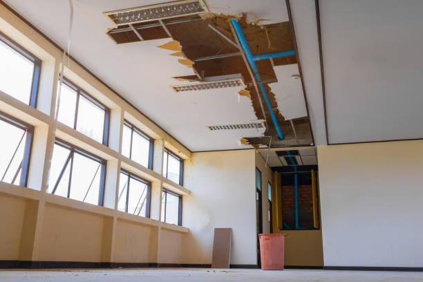 Best 24-hour water damage restoration  in Cowarts, AL