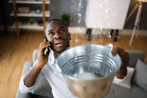 Best Flood damage cleanup  in Cowarts, AL