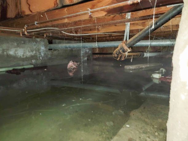 Trusted Cowarts, AL Water damage restoration Experts