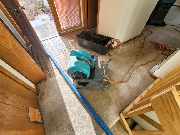 Best Flood restoration services  in Cowarts, AL