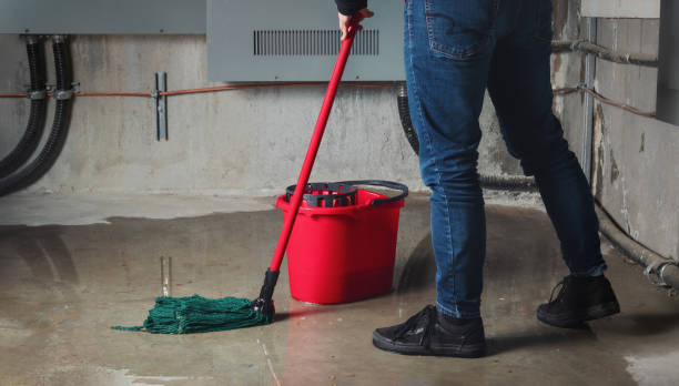 Best Sewage cleanup and water damage restoration  in Cowarts, AL