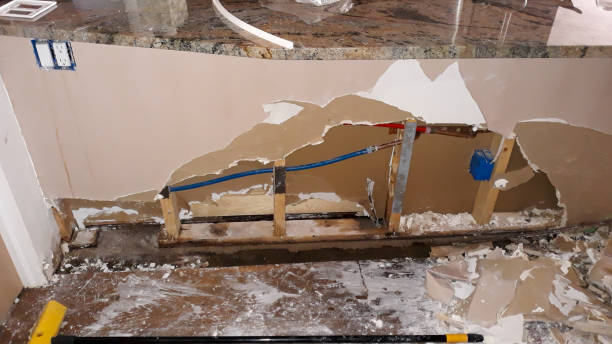 Best Water damage repair service  in Cowarts, AL