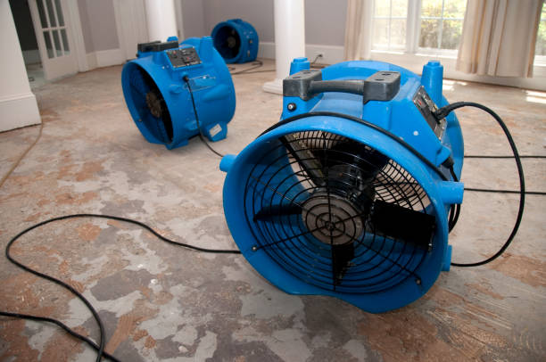 Best Water damage cleanup near me  in Cowarts, AL