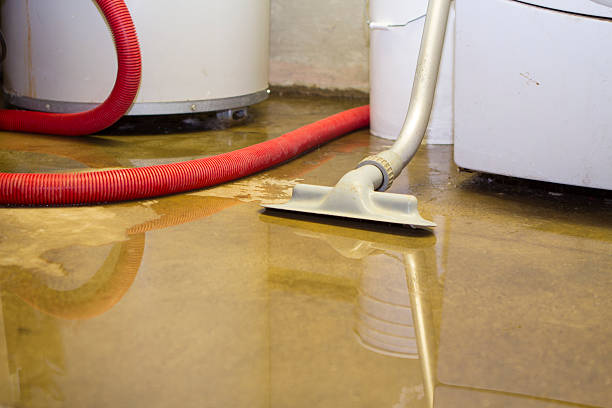Best Basement water damage restoration  in Cowarts, AL