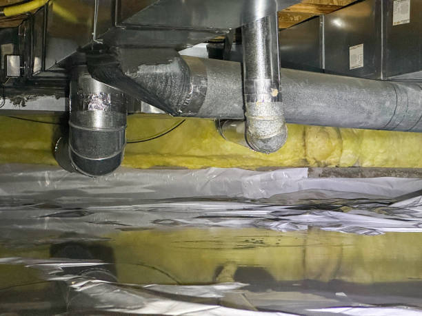 Best Water damage restoration process  in Cowarts, AL