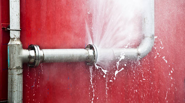 Best Basement water damage restoration  in Cowarts, AL